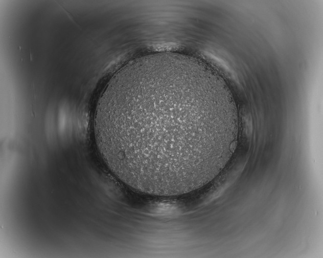 X0000094060308200710191106