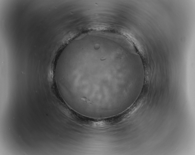 X0000094060309200710191106