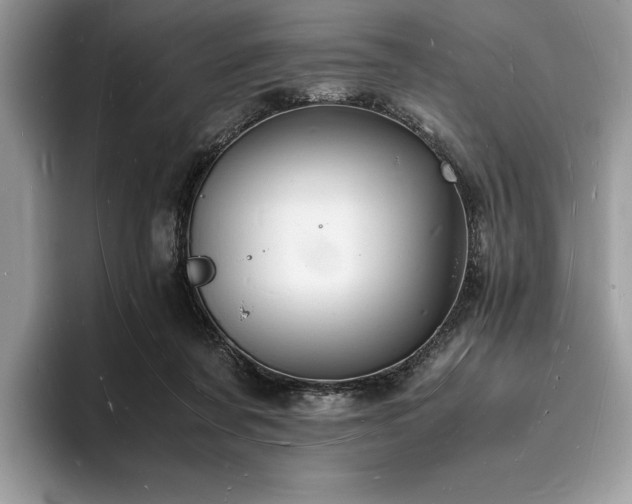 X0000094060311200710191106