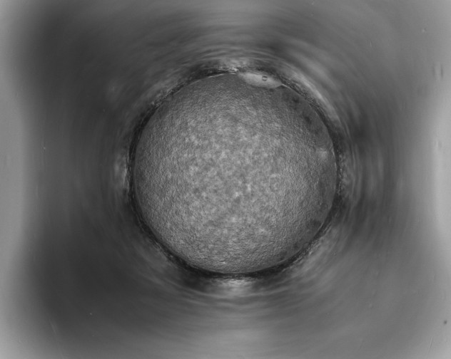 X0000094060313200710191106