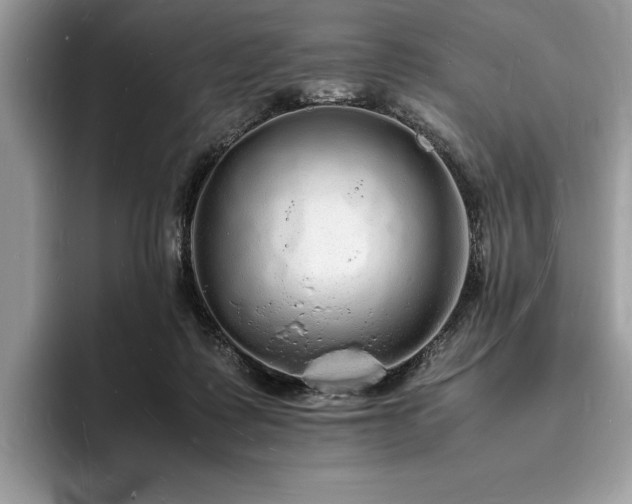 X0000094060315200710191106