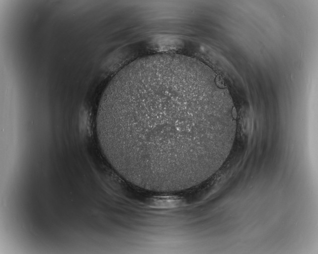 X0000094060316200710191106
