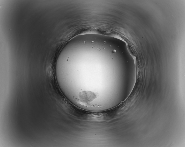 X0000094060317200710191106