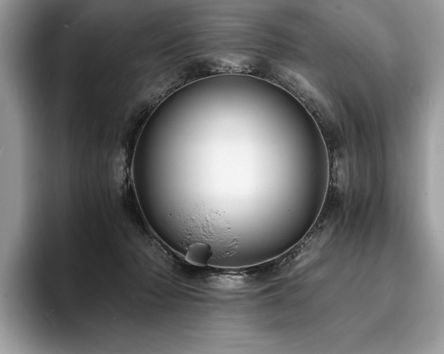 X0000094060318200710191106