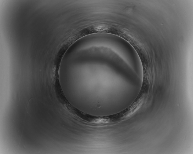 X0000094060319200710191106