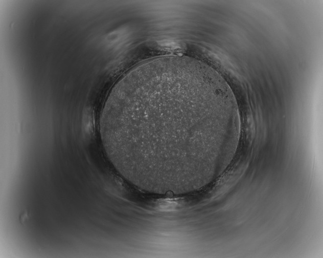 X0000094060320200710191106