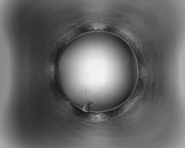 X0000094060321200710191106