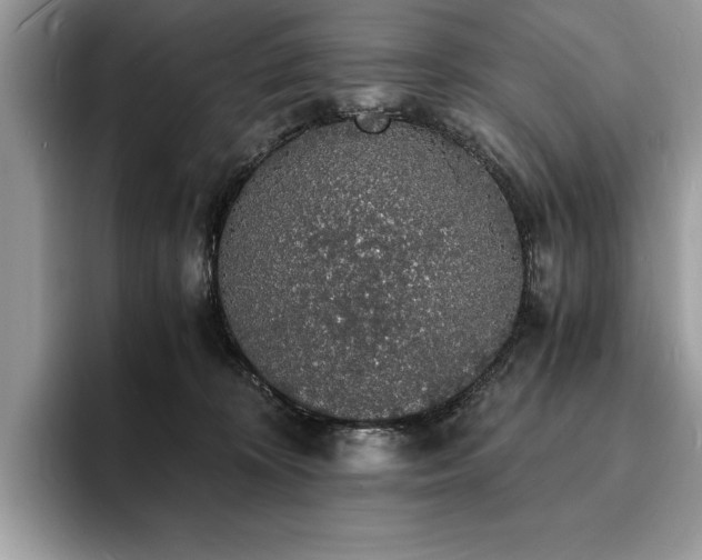 X0000094060324200710191106