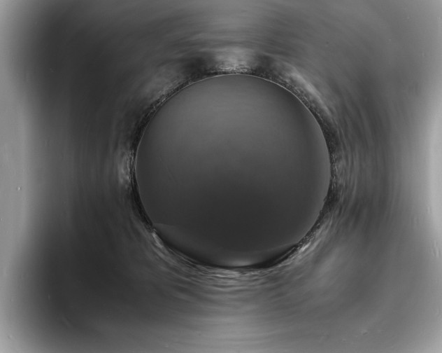 X0000094060325200710191106