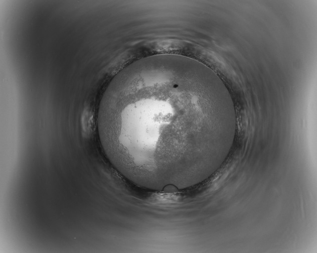 X0000094060327200710191106