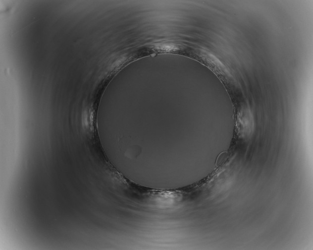 X0000094060330200710191106