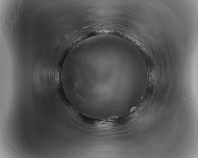 X0000094060331200710191106