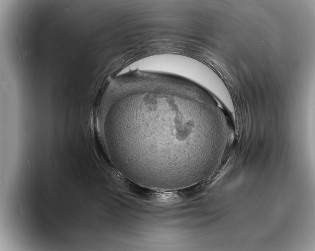 X0000094060333200710191106
