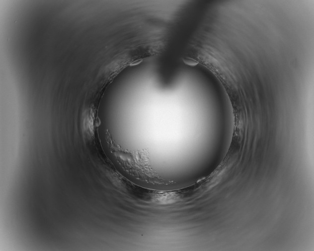 X0000094060334200710191106