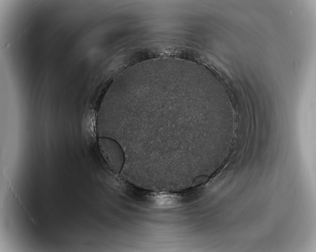 X0000094060336200710191106