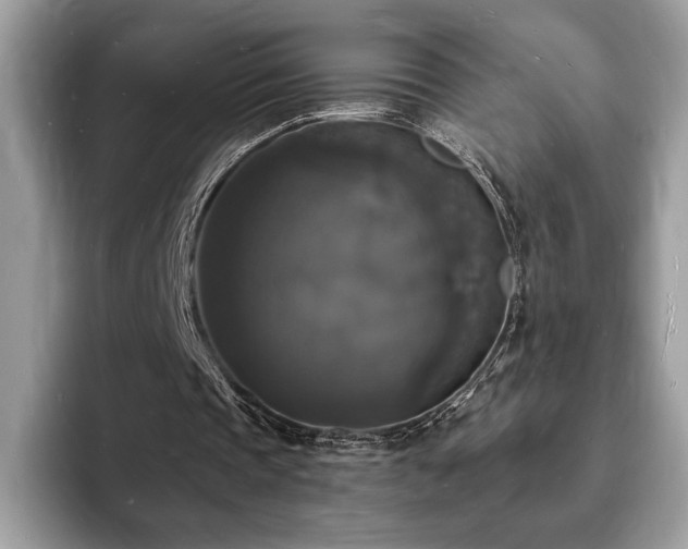 X0000094060337200710191105