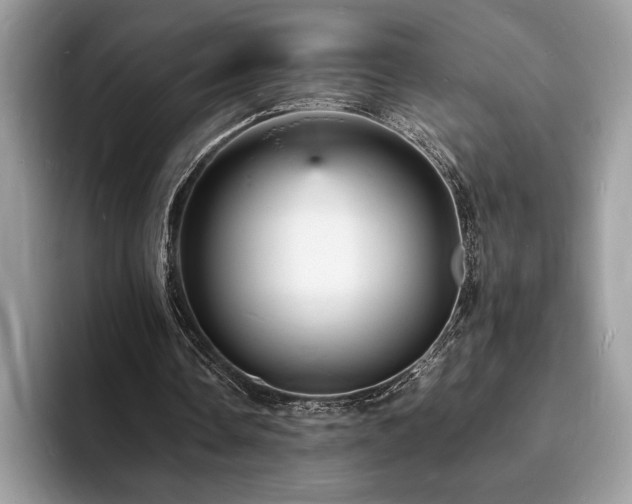X0000094060338200710191105
