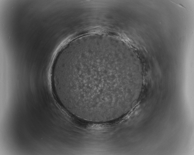 X0000094060341200710191105
