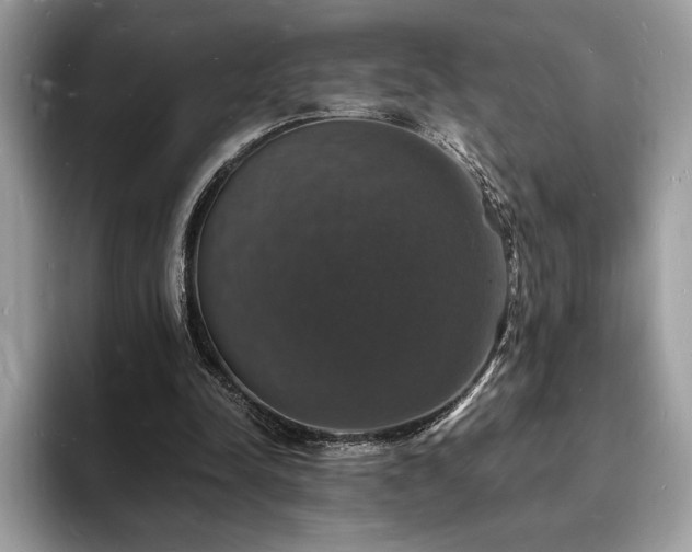 X0000094060342200710191105