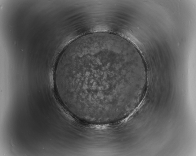 X0000094060345200710191105
