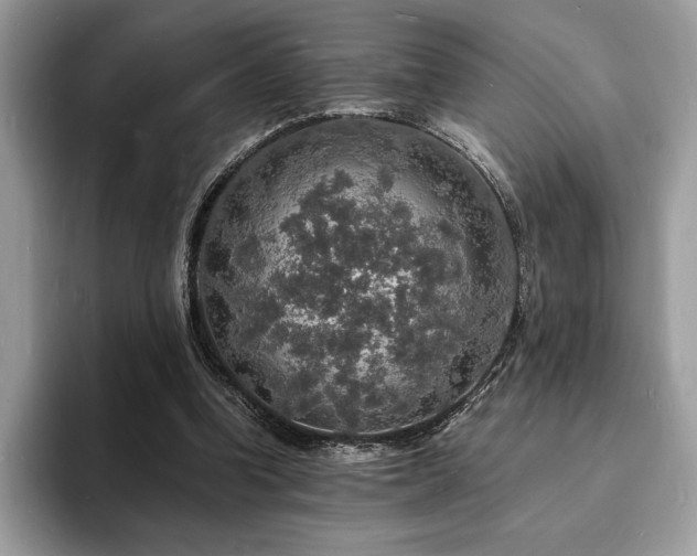 X0000094060346200710191105