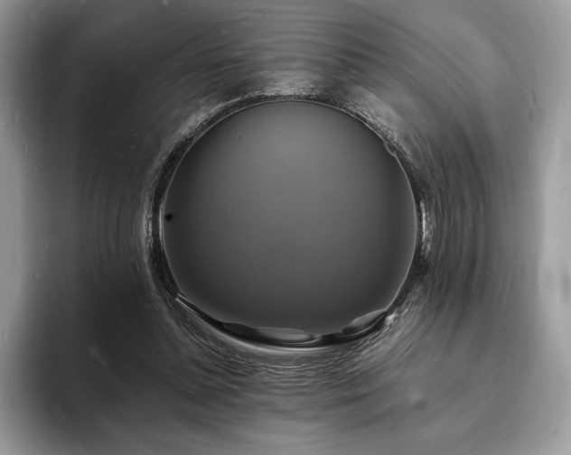 X0000094060348200710191105