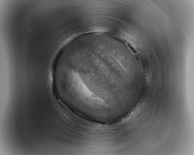 X0000094060350200710191105