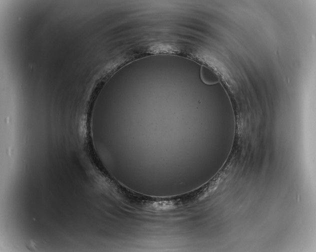 X0000094060353200710191105