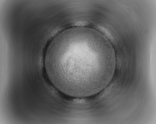 X0000094060354200710191105