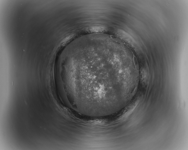 X0000094060356200710191105