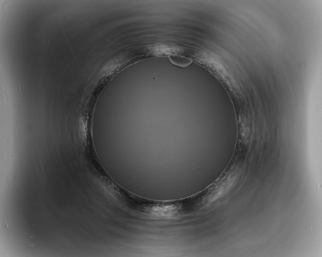 X0000094060357200710191105