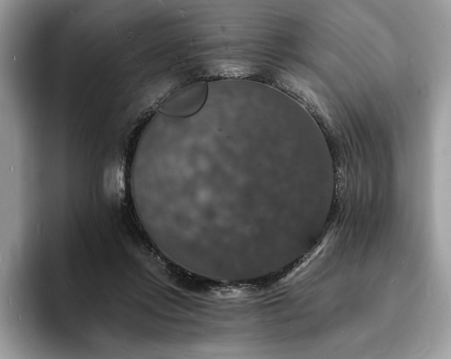 X0000094060358200710191105