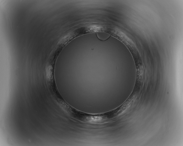 X0000094060361200710191105