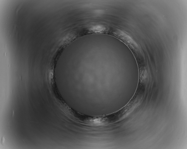 X0000094060365200710191105