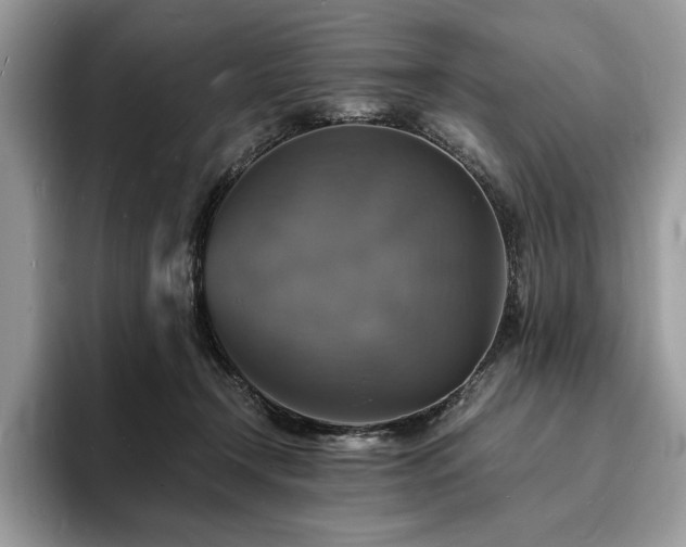 X0000094060366200710191105