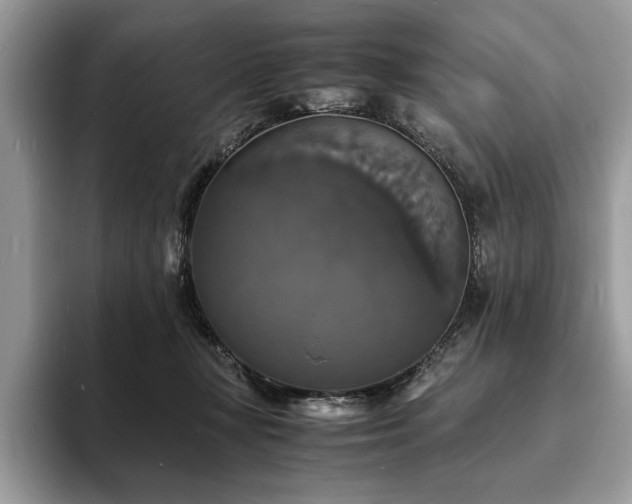 X0000094060367200710191105