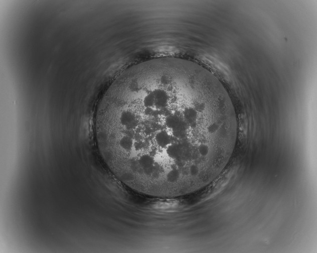 X0000094060369200710191105