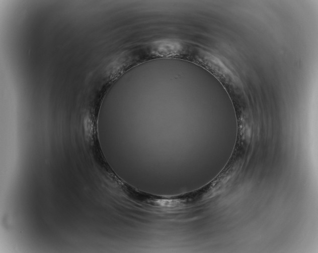X0000094060371200710191106