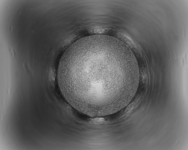 X0000094060374200710191106