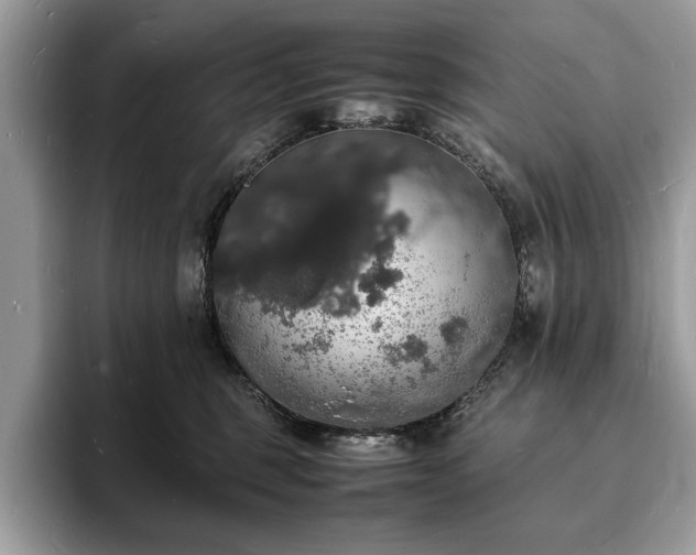X0000094060375200710191106
