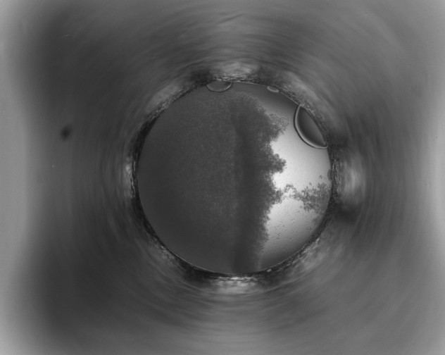 X0000094060378200710191106