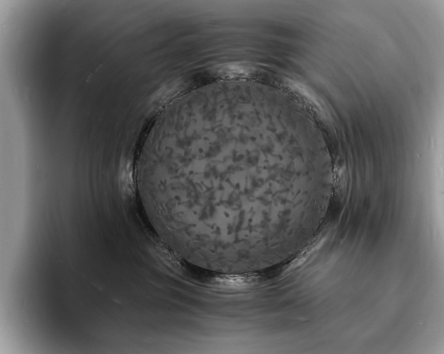 X0000094060381200710191106