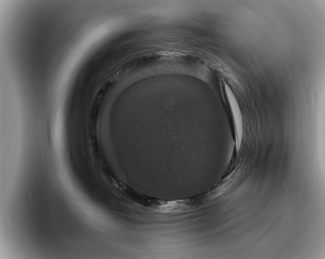 X0000094060382200710191106