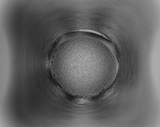 X0000094060384200710191106