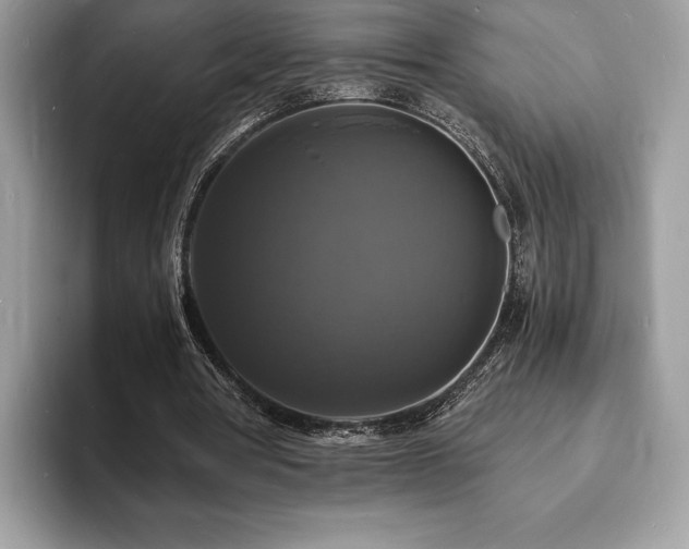 X0000094060386200710191105