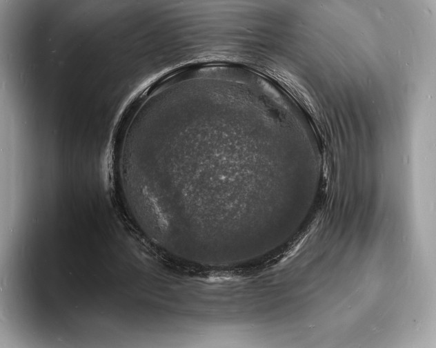 X0000094060388200710191105