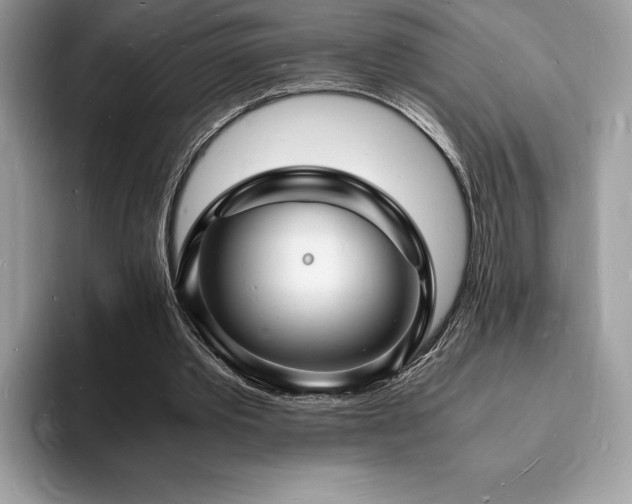 X0000094060389200710191105
