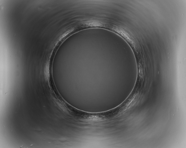 X0000094060390200710191105