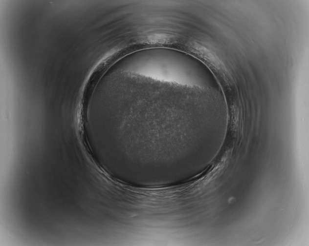 X0000094060392200710191105