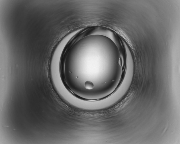 X0000094060393200710191105